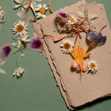 Load image into Gallery viewer, Spring Equinox Celebration