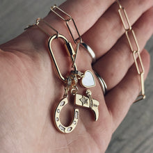 Load image into Gallery viewer, Lucky Charm Cluster Necklace
