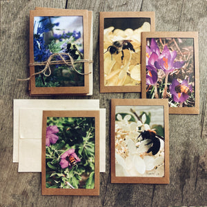 Bee Greeting Cards with Seed Envelopes