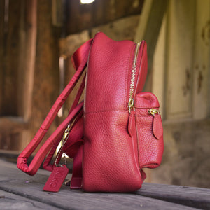 Red Itty-Bitty Backpack