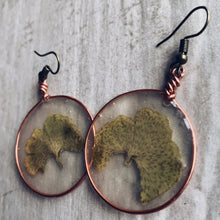 Load image into Gallery viewer, Ginkgo Leak &amp; Copper Earrings
