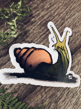 Load image into Gallery viewer, Carol the Snail Vinyl Decal
