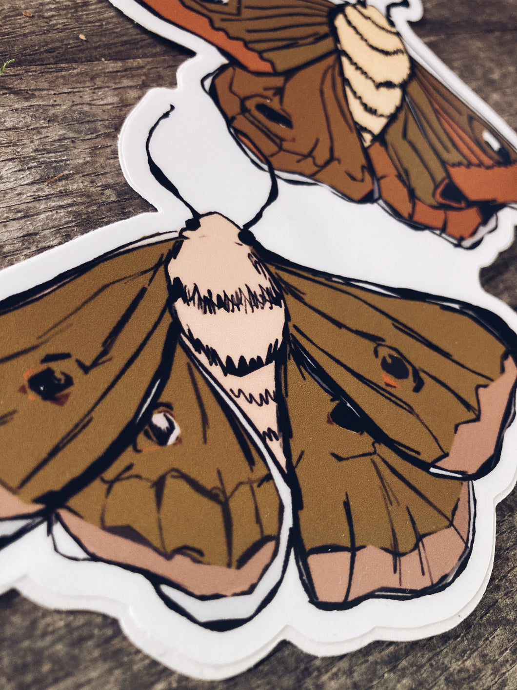 Moth Babies Vinyl Decal