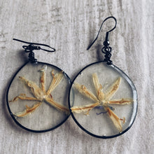 Load image into Gallery viewer, Scilla &amp; Black Earrings
