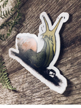 Load image into Gallery viewer, Carol the Snail Vinyl Decal
