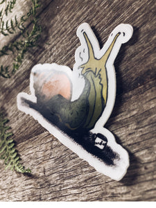 Carol the Snail Vinyl Decal