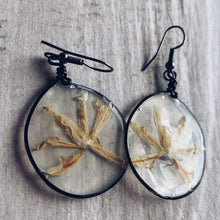Load image into Gallery viewer, Scilla &amp; Black Earrings
