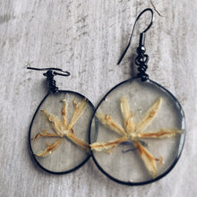 Load image into Gallery viewer, Scilla &amp; Black Earrings
