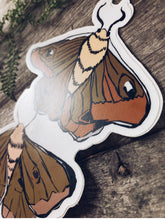 Load image into Gallery viewer, Moth Babies Vinyl Decal
